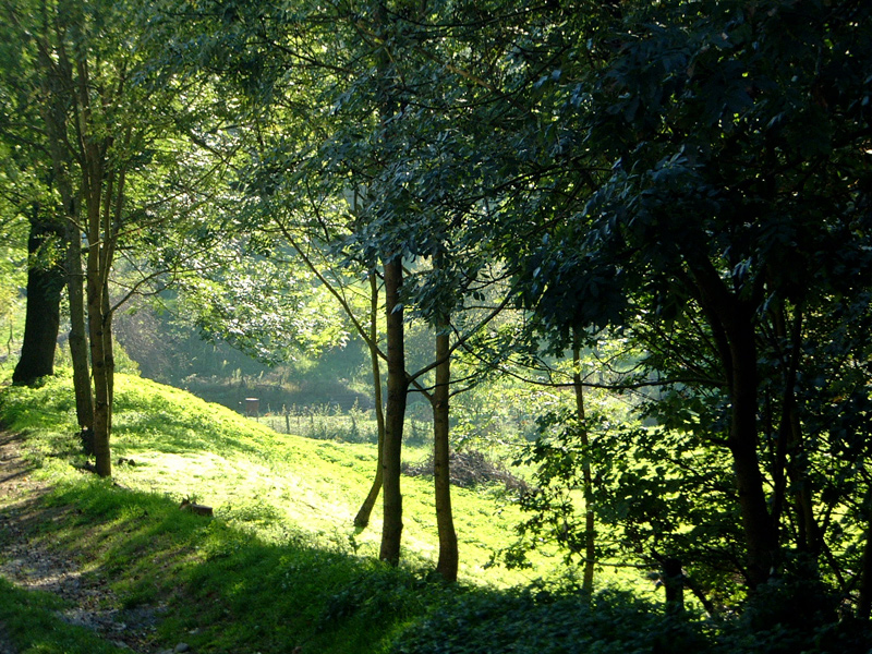 charte des maires pour environnement st genest lerpt