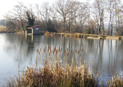 etang saint genest lerpt