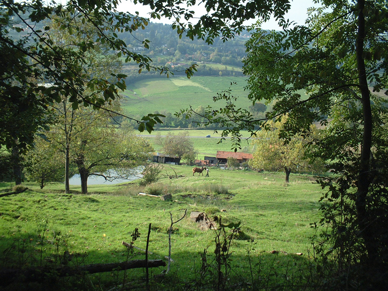 charte des maires pour environnement st genest lerpt