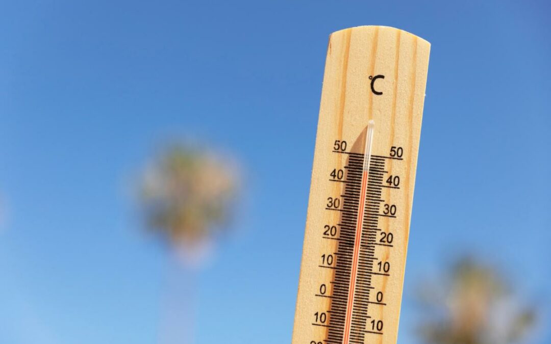 Canicule : changement des horaires de la médiathèque